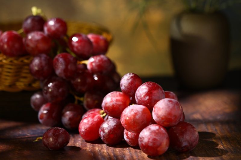 Wholesale Harvester Fresh Fruit Export Cultivation Of Grapes